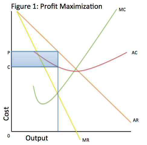 Focus on profit maximisation models for firms